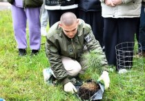 Жители Серпухова приняли активное участие в экологическом марафоне «Сдай макулатуру – спаси дерево!»