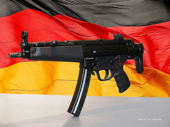 Die Welt: немецкая армия оказалась «голой» из-за поставок оружия Киеву