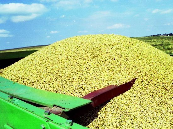 Минсельхоз: украинское зерно получал Евросоюз вместо нуждающихся стран