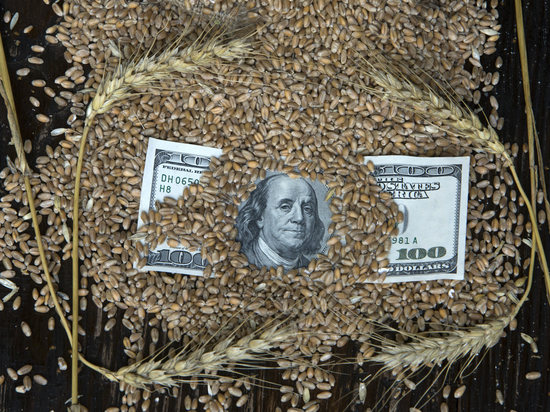 Байден назвал возмутительной приостановку Россией соглашения о поставках зерна