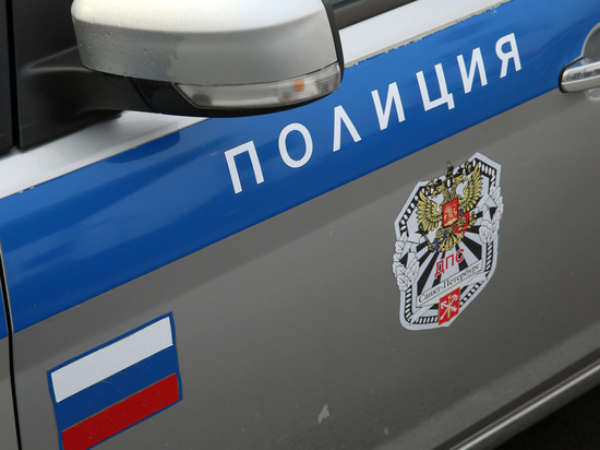Похищение золотой цепочки ночью около кафе в Выборге стало уголовным делом