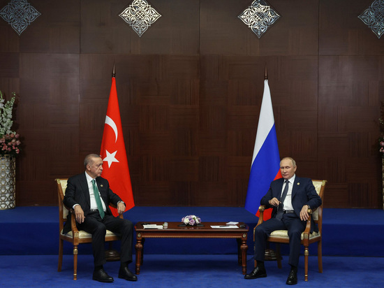 Россия и Турция намерены продолжать развивать отношения, но безоблачными они не были и не будут