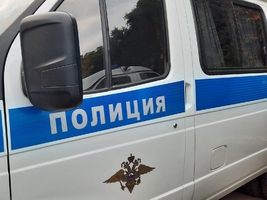 Житель Рассказовского района украл бензопилу