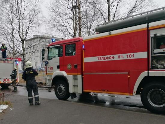 В Архангельске в пожаре пострадал мужчина и погибла такса