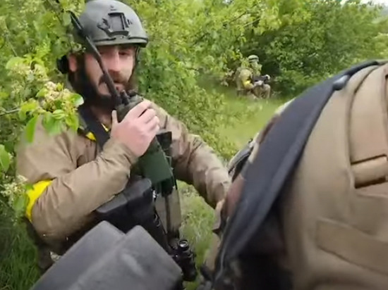 Военкор Поддубный: наемники на Украине создают "Тюркский легион"