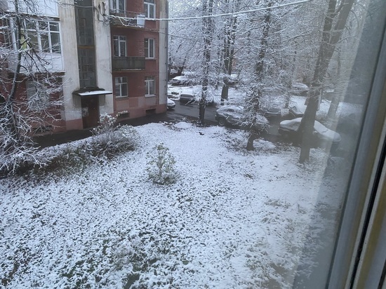 Ярославль засыпало первым снегом