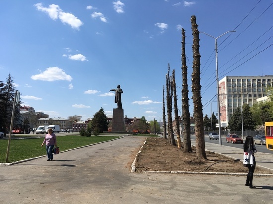 Улица Московская может лишиться всех деревьев - причем, навсегда
