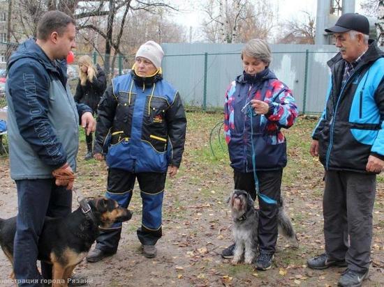 В посёлке Мехзавода в Рязани открыли площадку для выгула собак