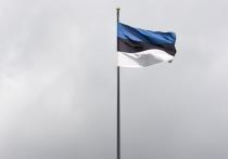 Власти Эстонии намерены расширить охраняемую зону на границе с Россией в 30 раз – с 10 до 300 метров