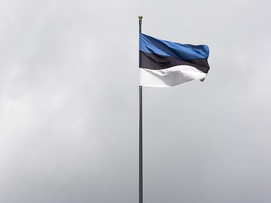 Эстония расширит охраняемую зону на границе с РФ в 30 раз