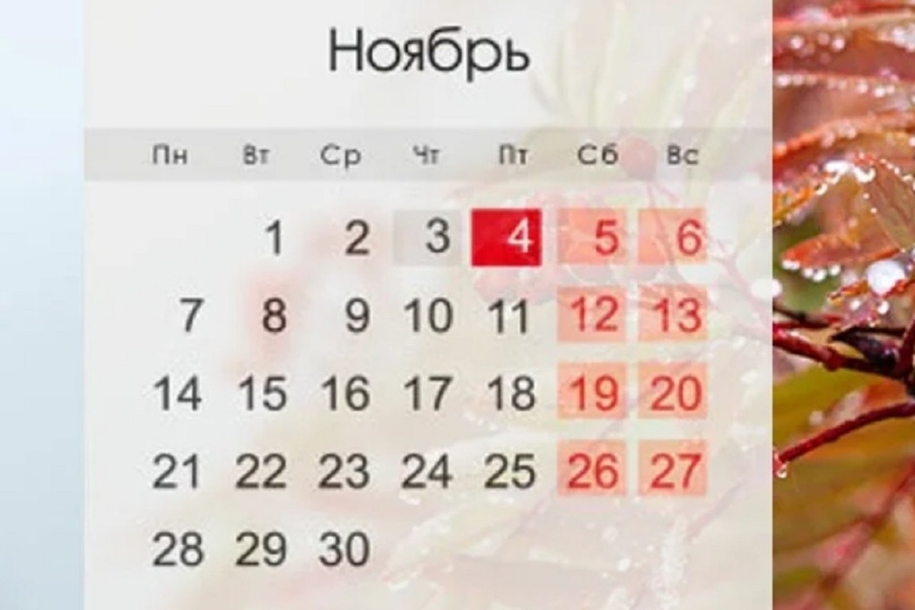 22 ноябрь 2016. Ноябрьские праздники 2022. Праздничные дни в ноябре. Праздники в ноябре 2022 в России. Праздники в ноябре в России выходные 2022.