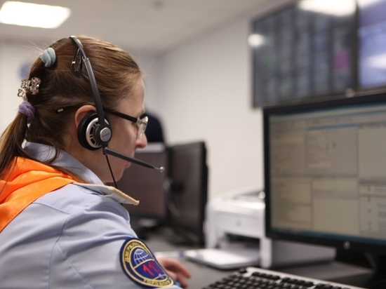 В подмосковных лесах стали реже теряться люди