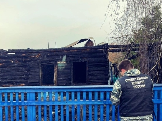 В деревне Мариновка при пожаре погиб мужчина