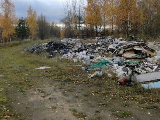 Эконадзор Ленобласти ликвидировал незаконные свалки на Мурманском шоссе