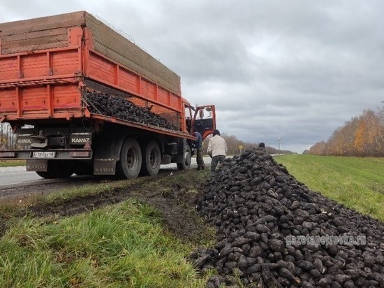 В Петровском районе водитель высыпал на обочину весь груз сахарной свёклы, спасая грузовик