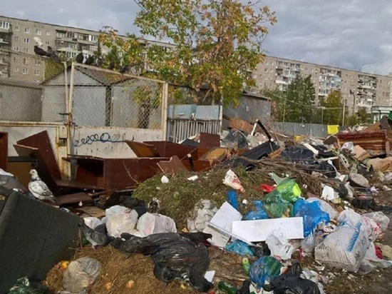  Жители УНЦ в Екатеринбурге пожаловались на переполненные мусорные контейнеры