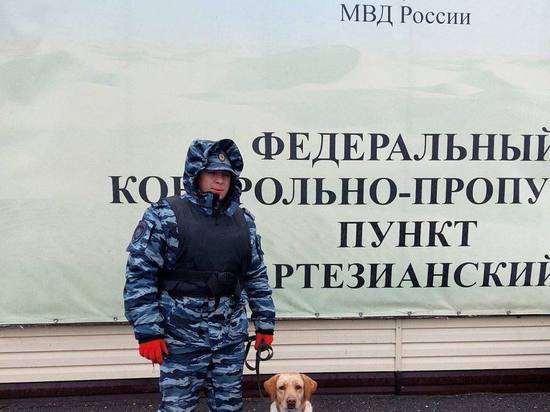 В Дагестане собака помогла найти наркотики в автомобиле