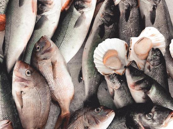 В детском интернате Красноярска нашли 260 кг просроченной рыбы