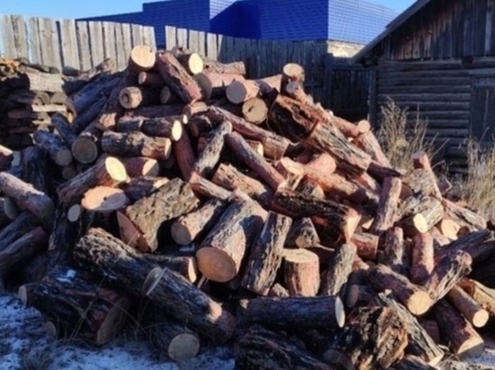 Минприроды Забайкалья открыло горячую линию по заготовке и доставке дров