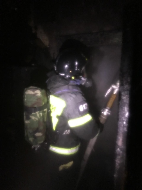 Пожилой мужчина сгорел заживо в своём доме под Орлом