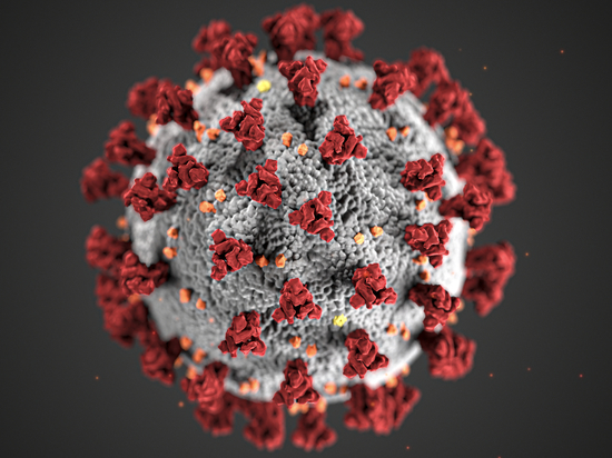 Заболеваемость коронавирусом в Карелии все еще снижается