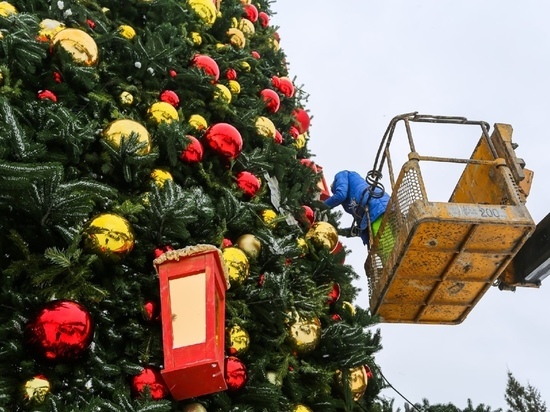 Названа дата установки новогодних елок в Красноярске