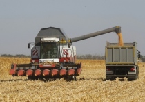 В Подмосковье собрали рекордный за всю историю сельского хозяйства региона урожай зерновых и зернобобовых