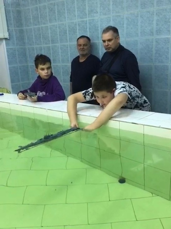 Модель подводной лодки из Серпухова оценили на Первенстве Московской области