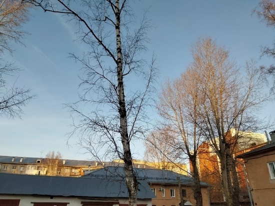 Потепление до + 3 градусов обещают синоптики в Томске 2 ноября