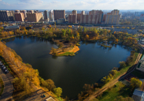 В Московской области провели благоустройство территорий по программе “100 прудов и озер”