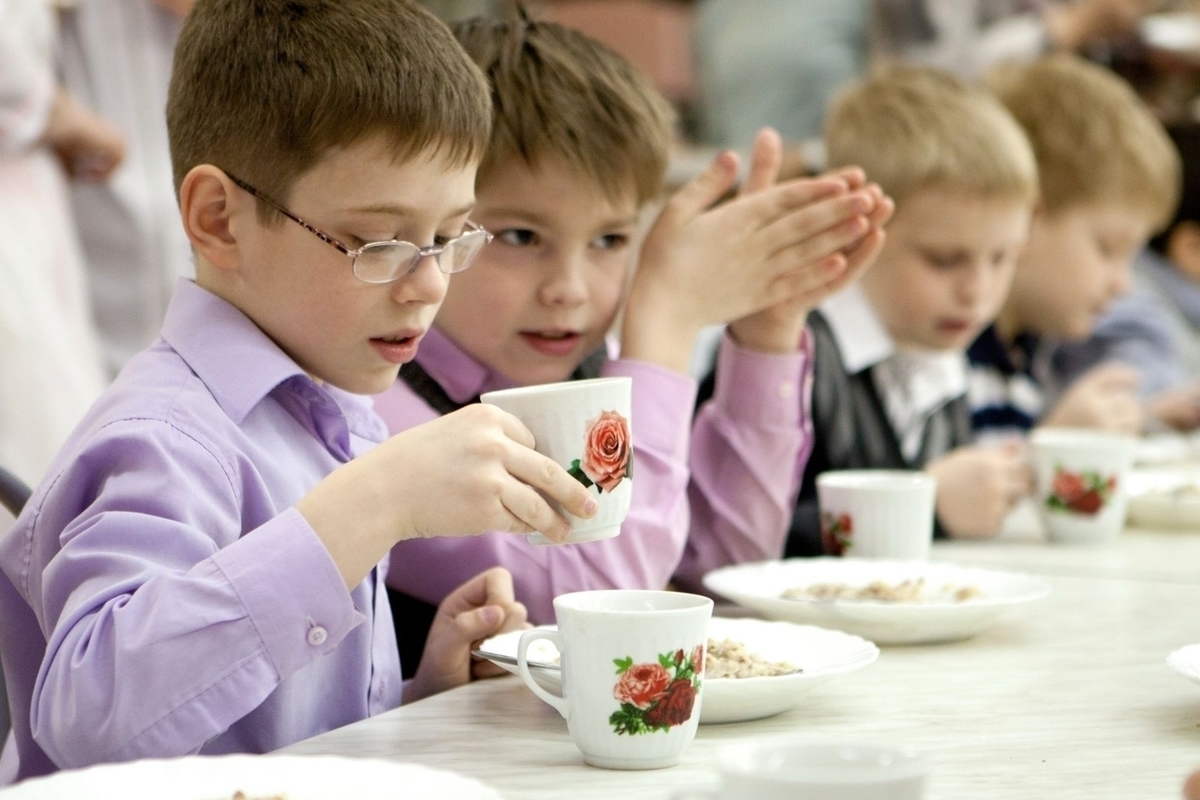 В Костромской области нашли дополнительные средства для улучшения питания в школах и больницах