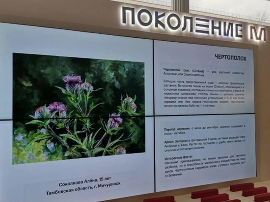 В Третьяковской галерее выставили картину с тамбовским чертополохом авторства школьницы из Мичуринска
