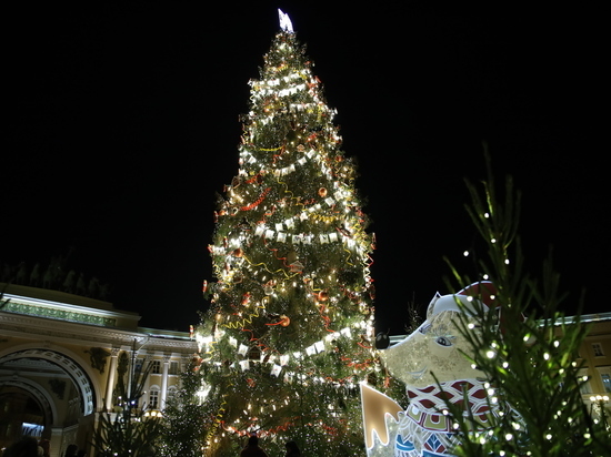 ГАТИ согласовала установку новогодней елки на Дворцовой площади
