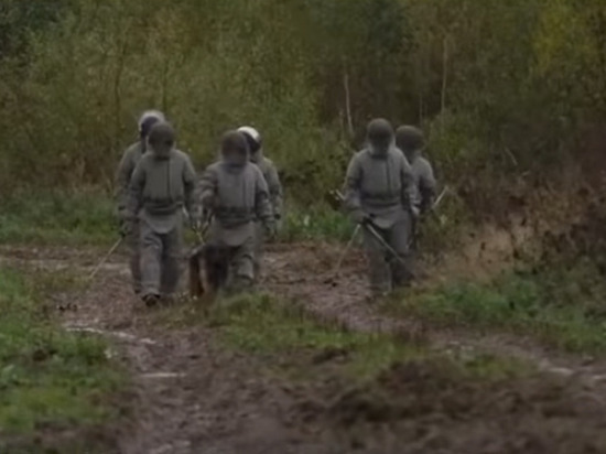 Вашингтон выделил $47,6 млн на подготовку украинских саперов