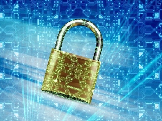 Центральный район Читы стал лидером по числу IT-преступлений за 9 месяцев