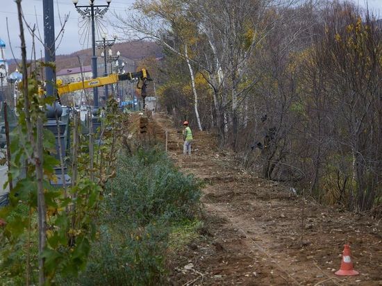 Мэр Южно-Сахалинска поручил вернуть газон на улицу Горького до конца года