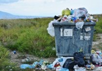 Региональный оператор по обращению с твердыми коммунальными отходами в течение полугода практически не вывозил мусор в Петровск-Забайкальском