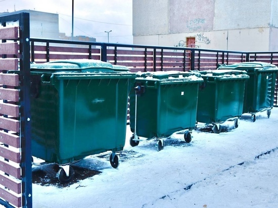 Больше 300 новых мусорных баков установят в Лабытнанги до конца года