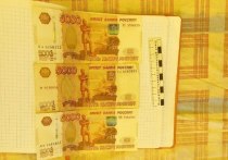 Гражданин Таджикистана обвиняется в даче взятки должностному лицу – 38-летний мужчина попытался всучить сотруднику правоохранительных органов 15 тысяч рублей.