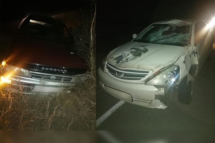 Автомобиль врезался в коней