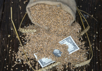 Стоимость декабрьского фьючерса на пшеницу на Чикагской товарной бирже упала более чем на шесть процентов после известия о возобновлении зерновой сделки по вывозу зерна с Украины