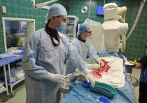 Травматологи Домодедовской больницы помогли пациенту, получившему тяжелые травмы в дорожной аварии