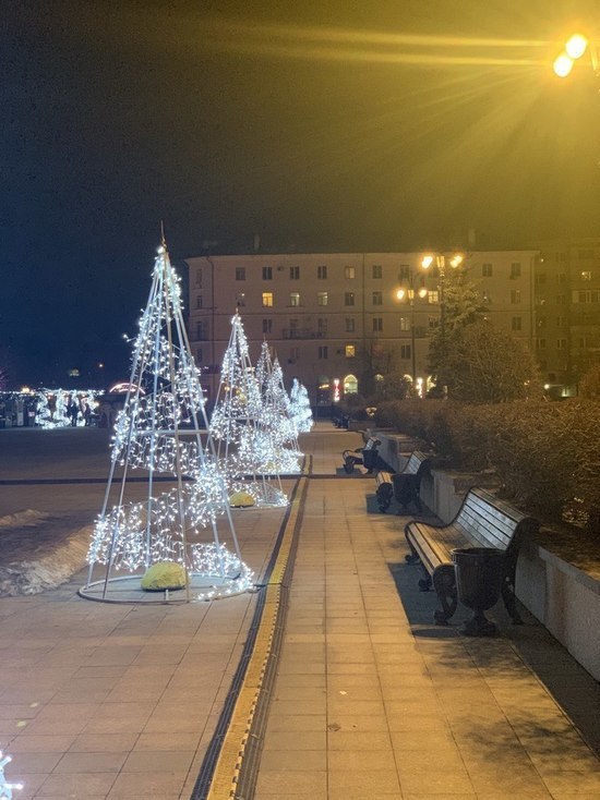 Пензенцев просят в этом году не воровать новогодние атрибуты
