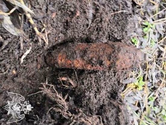 В лесном массиве Мичуринского района грибник нашёл артиллерийский снаряд
