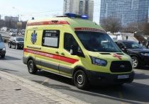 Дорожно-транспортное происшествие со смертельным исходом в Москве могло стать следствием отказа тормозов у грузового автомобиля