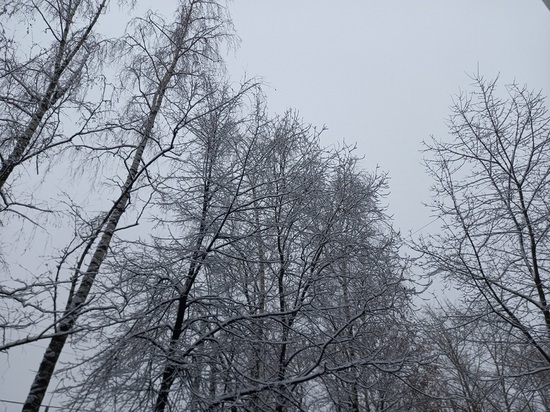 Орловские синоптики анонсировали снег с дождём 3 ноября