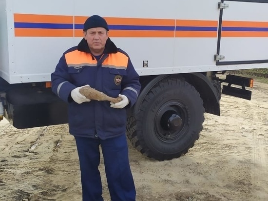 В курском селе Волобуево нашли минометную мину
