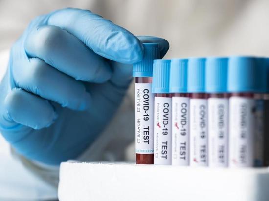 В Хакасии снова больше 30 новых случаев коронавируса за сутки