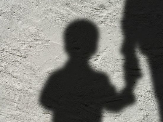 Жители требуют отнять у матери изнасилованного под Новосибирском 2-летнего мальчика