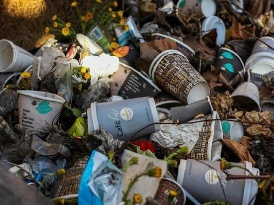 Свалка около школы возмутила жителей кузбасского города